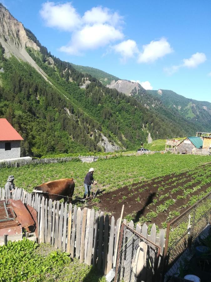 Guest House Elisabeth Adishi Екстер'єр фото